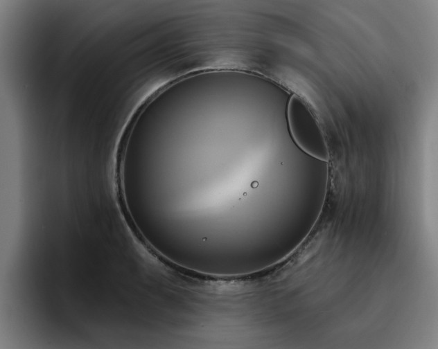 X0000094901087200712061023