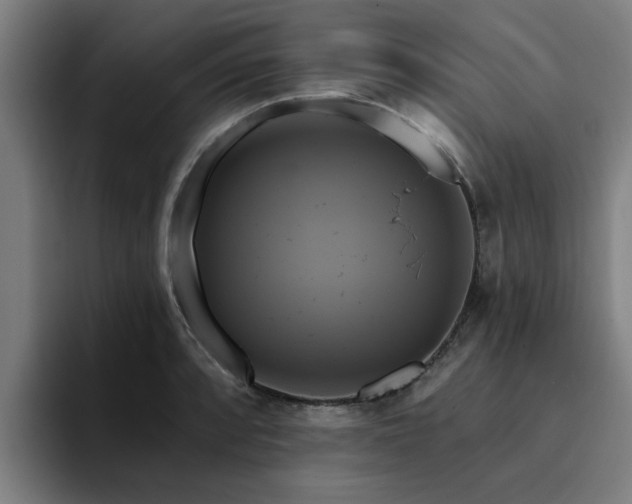 X0000094901088200712061023