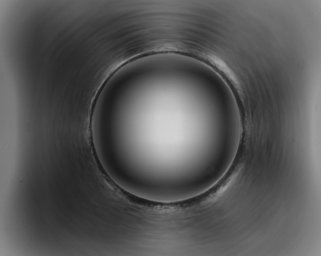 X0000094901089200712061023