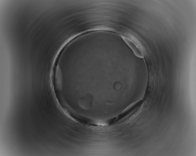 X0000094901092200712061023