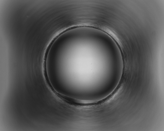 X0000094901093200712061023