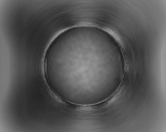 X0000094901094200712061023