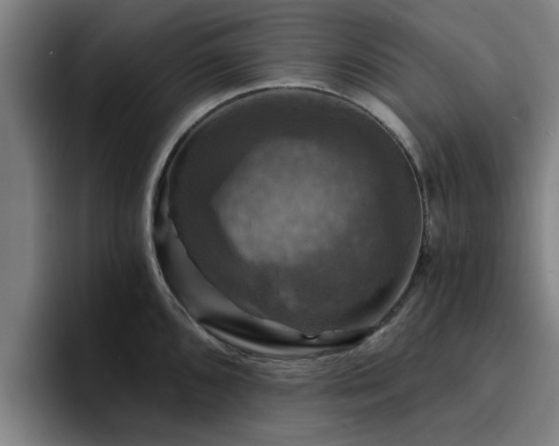 X0000094901096200712061023