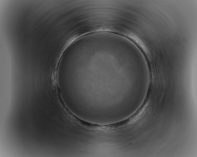 X0000094901097200712061023