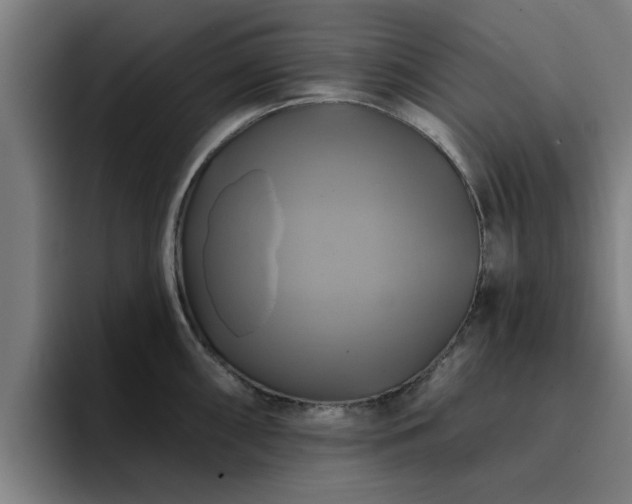 X0000094901098200712061023