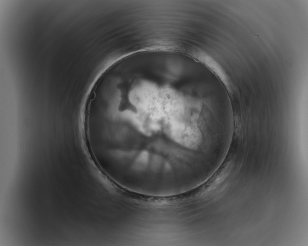 X0000094901099200712061023