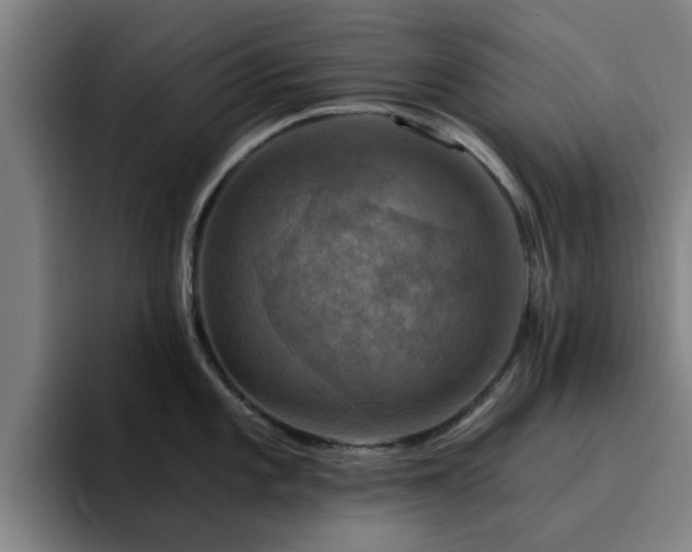 X0000094901101200712061023