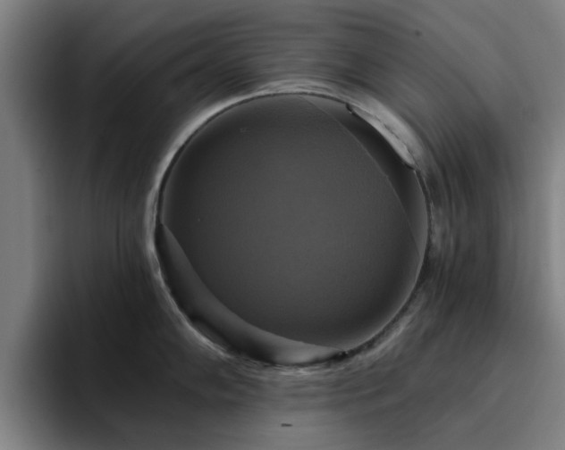 X0000094901102200712061023