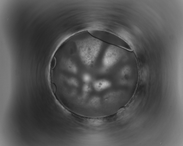 X0000094901103200712061023