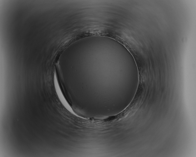 X0000094901106200712061023