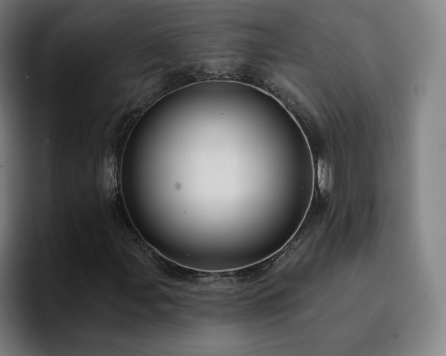X0000094901107200712061023