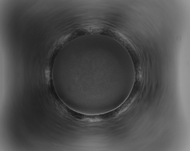 X0000094901108200712061023