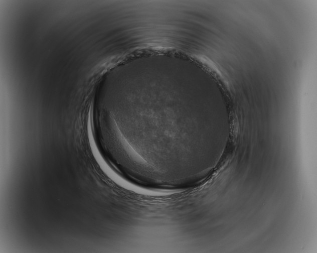 X0000094901110200712061023