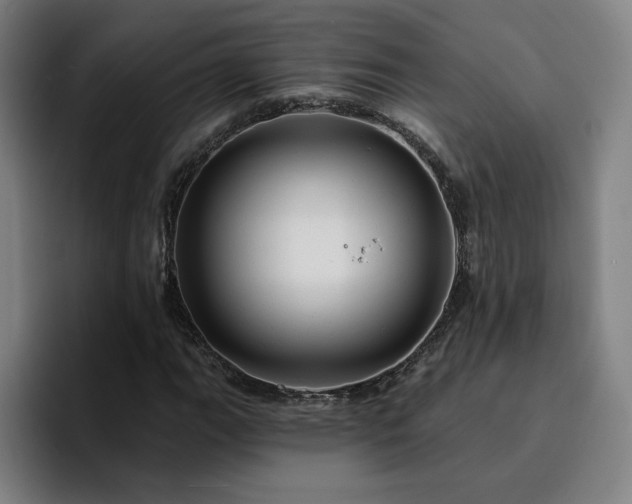 X0000094901111200712061023