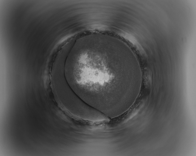 X0000094901112200712061023