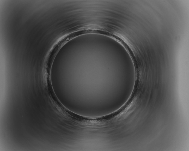X0000094901115200712061023