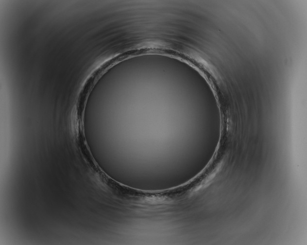 X0000094901117200712061023