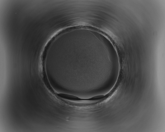 X0000094901118200712061023