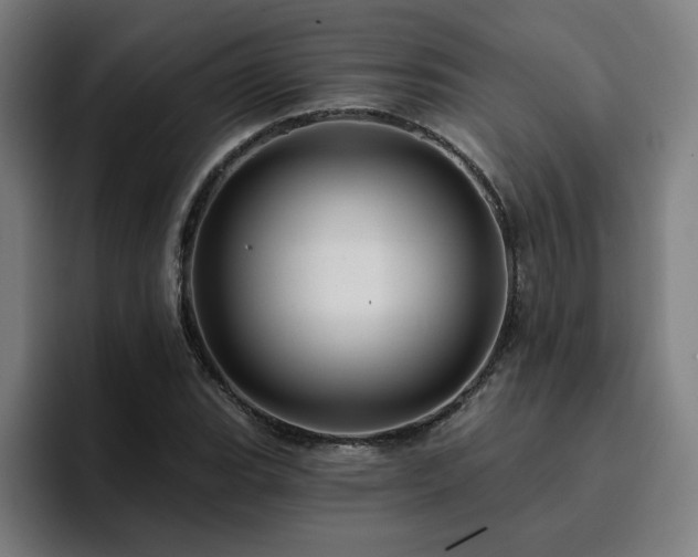 X0000094901119200712061023