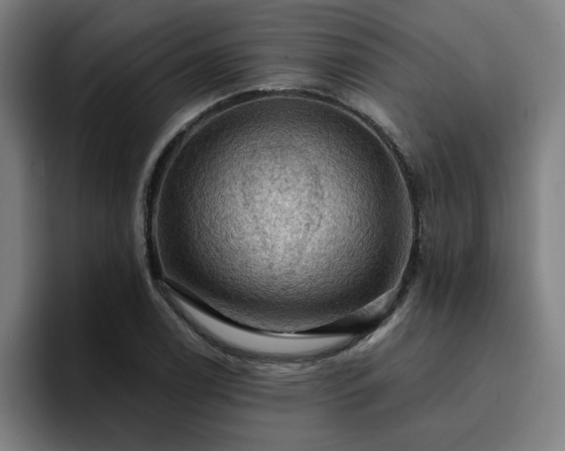 X0000094901122200712061023