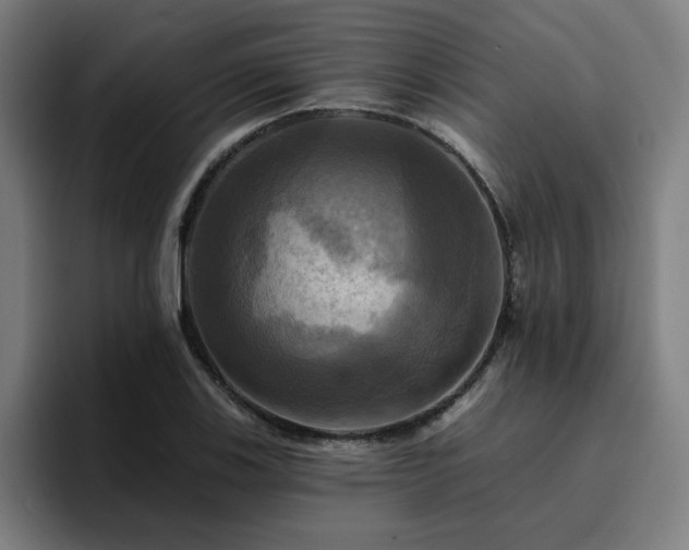 X0000094901123200712061023