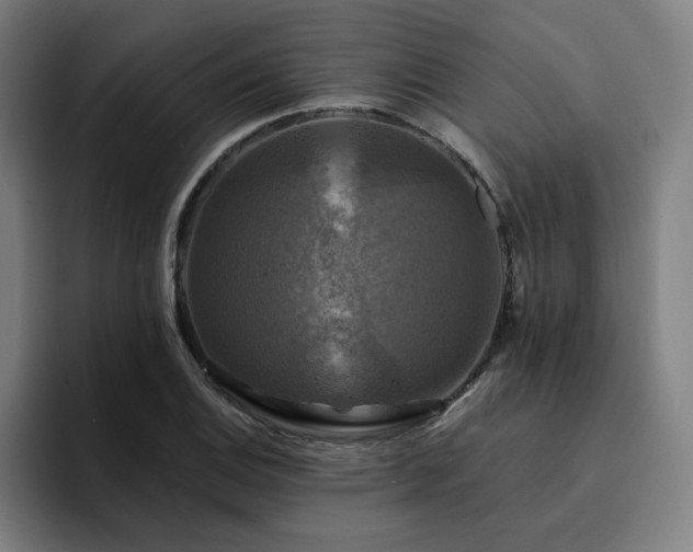 X0000094901124200712061023