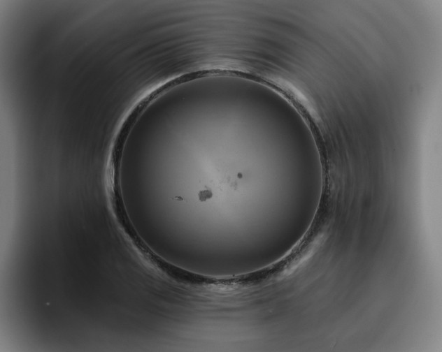X0000094901125200712061023