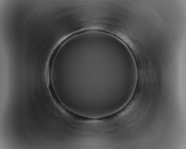 X0000094901127200712061023