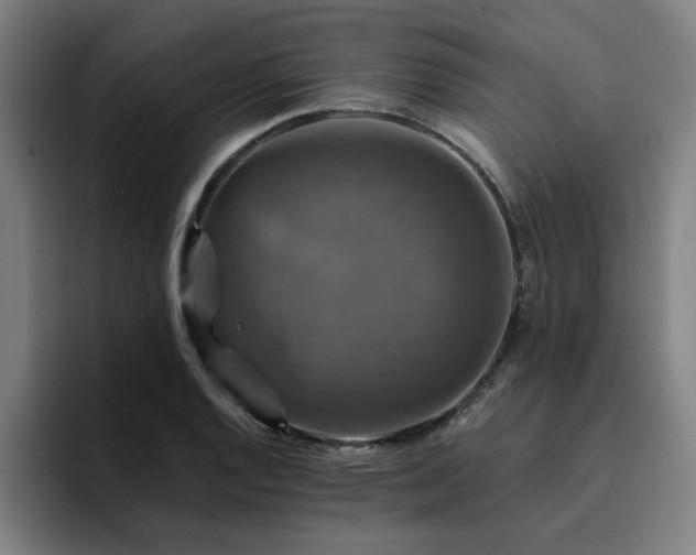 X0000094901128200712061023