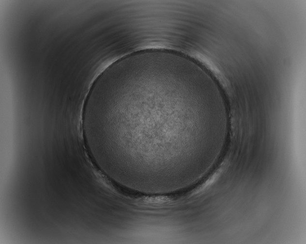 X0000094901129200712061023
