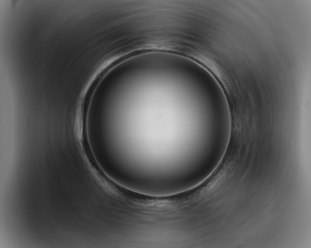 X0000094901131200712061023