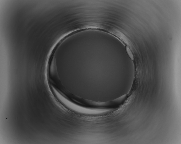 X0000094901132200712061023