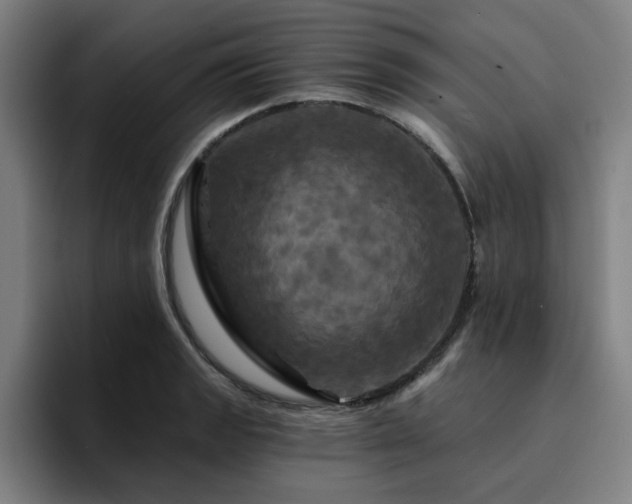 X0000094901133200712061023