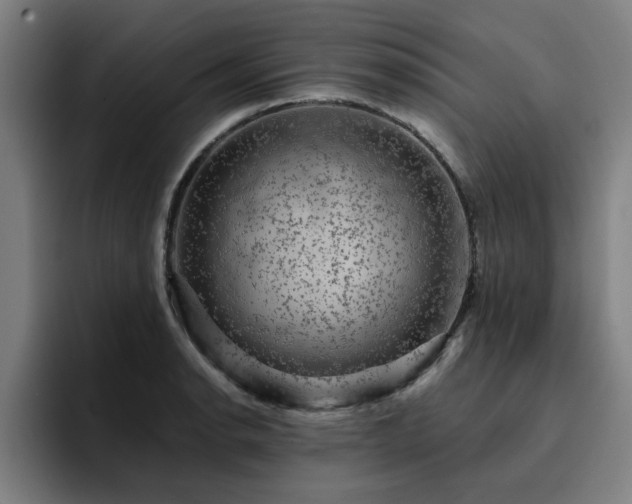 X0000094901134200712061023