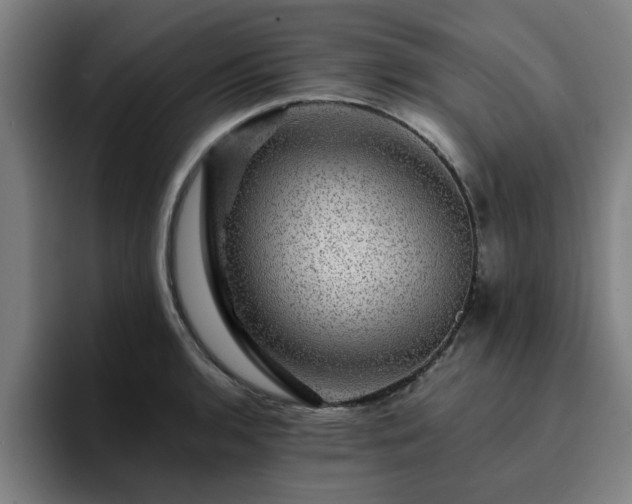 X0000094901136200712061023