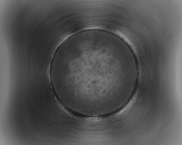 X0000094901137200712061023