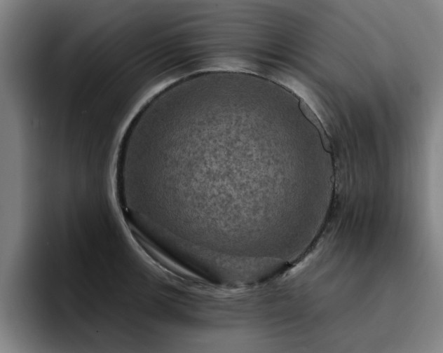 X0000094901139200712061023