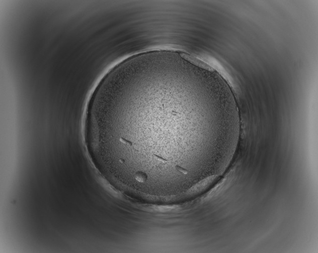 X0000094901140200712061023