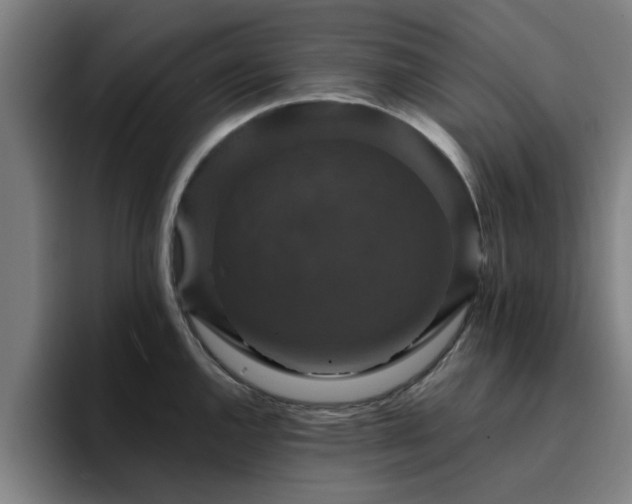 X0000094901144200712061023