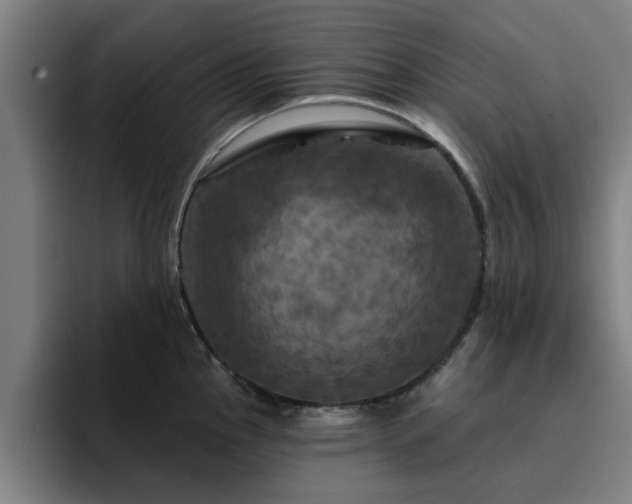 X0000094901145200712061023