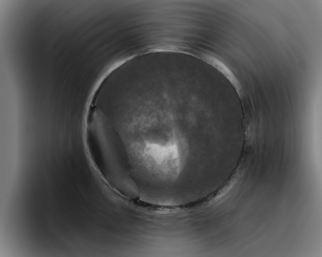 X0000094901146200712061023