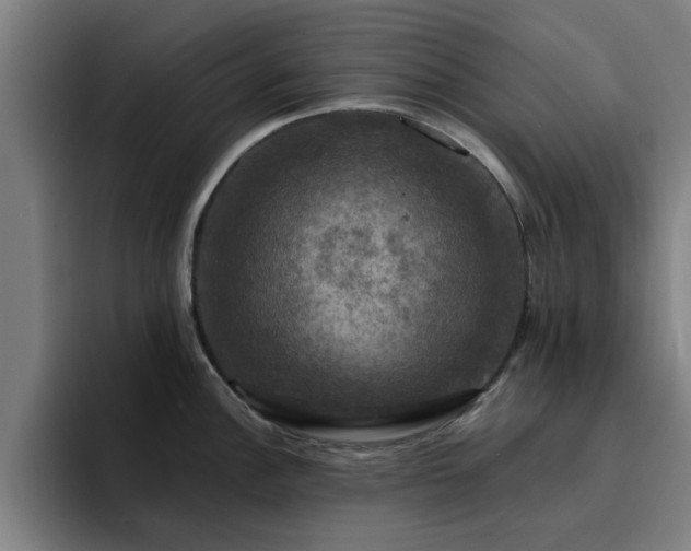 X0000094901148200712061023