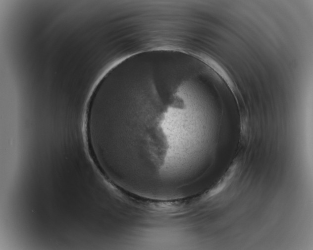 X0000094901149200712061023