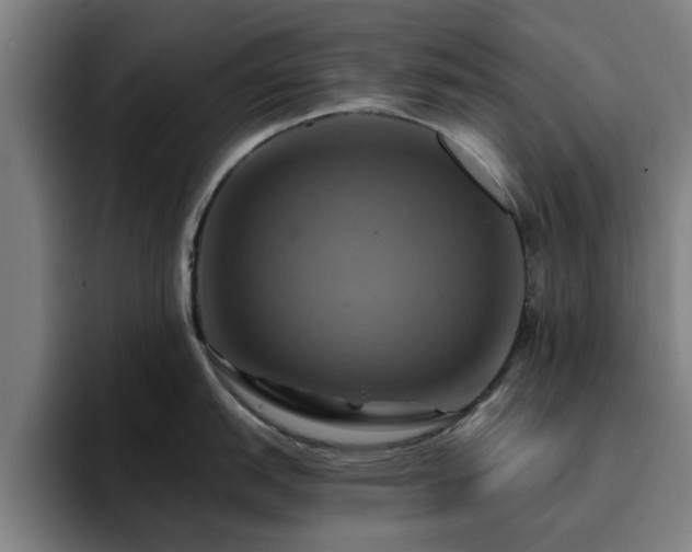 X0000094901151200712061023