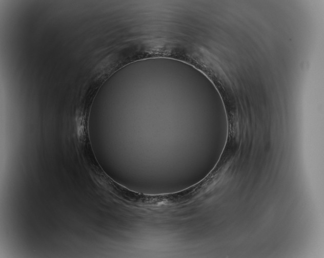 X0000094901154200712061023