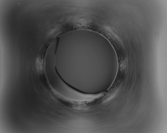X0000094901156200712061023