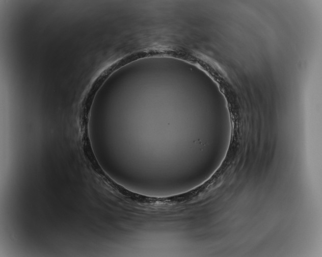 X0000094901160200712061023