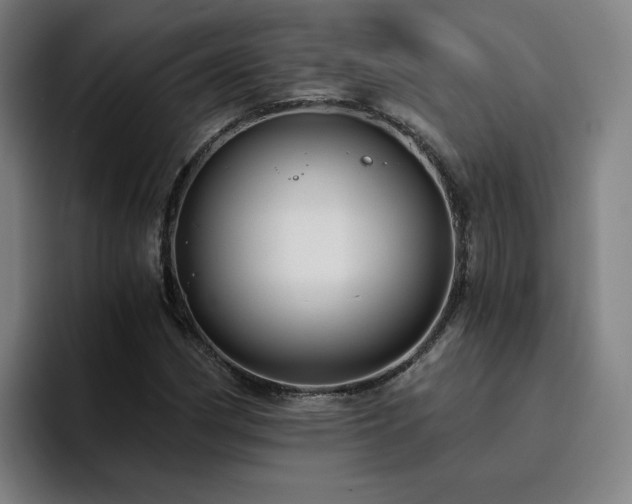 X0000094901162200712061023