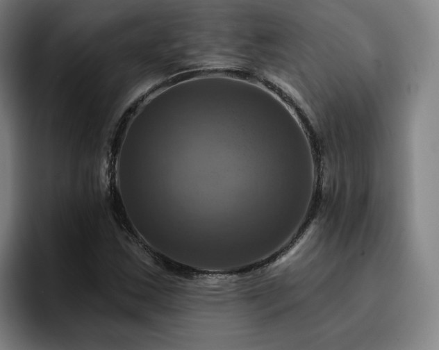 X0000094901163200712061022