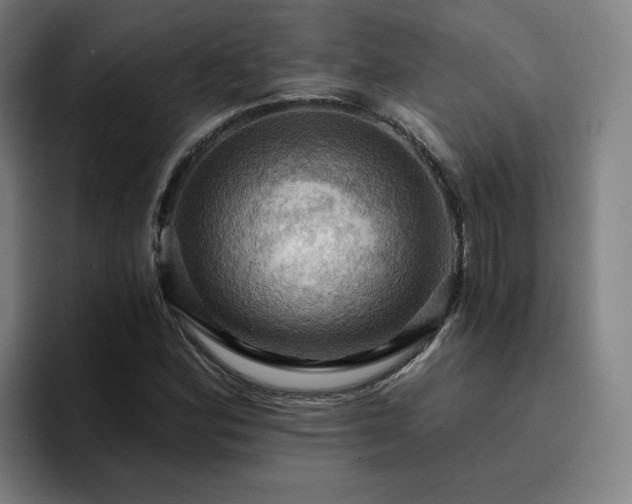 X0000094901164200712061022